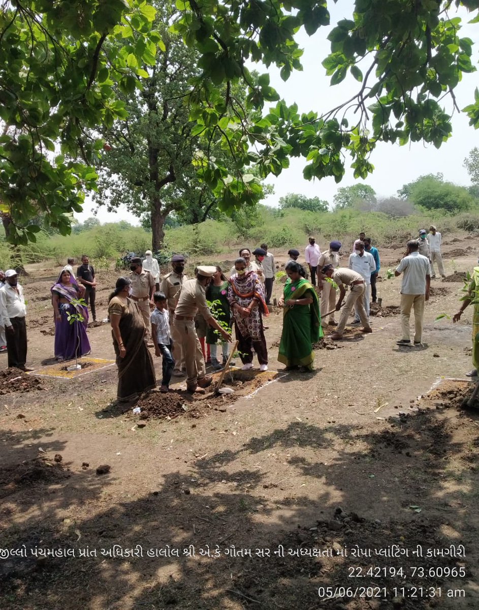 Godhra Forest Division tweet media