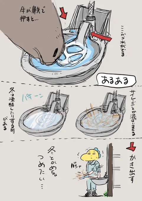 牛あるある。 