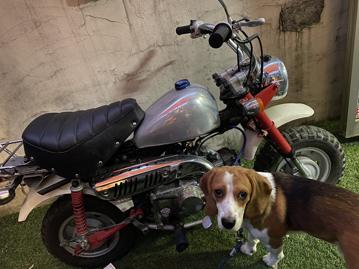 モンキーに付いてたアルミタンク、造りもいいからビッグシーダーかな 