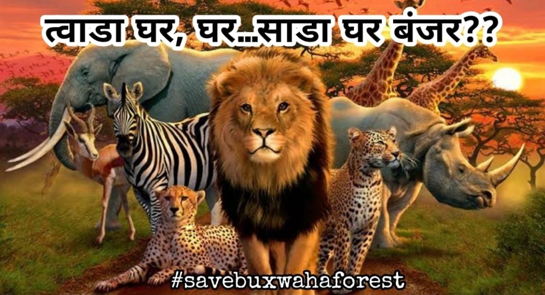 Kya karoon mai mar jaaon?? 😭😭
Hamari koi feeling nahin hai? 🥺 🥺

#Savebuxwahaforest
#SaveBuxwahaForest