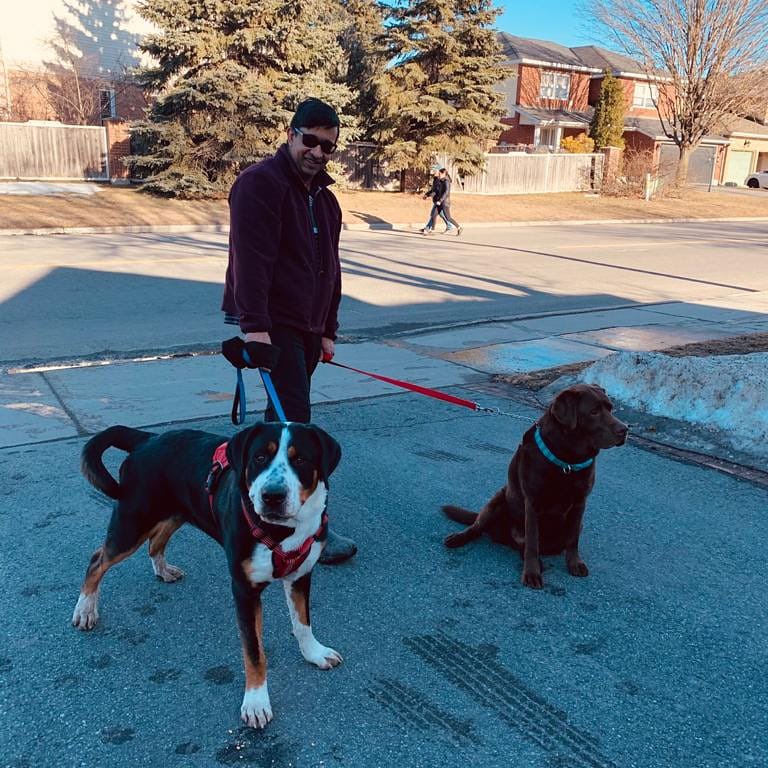 NaveenEipe's tweet image. Need something like that for these winter loving boys Ollie &amp;amp; Doug! #BestBuds #ColdWeatherDogs #SpringtimePic