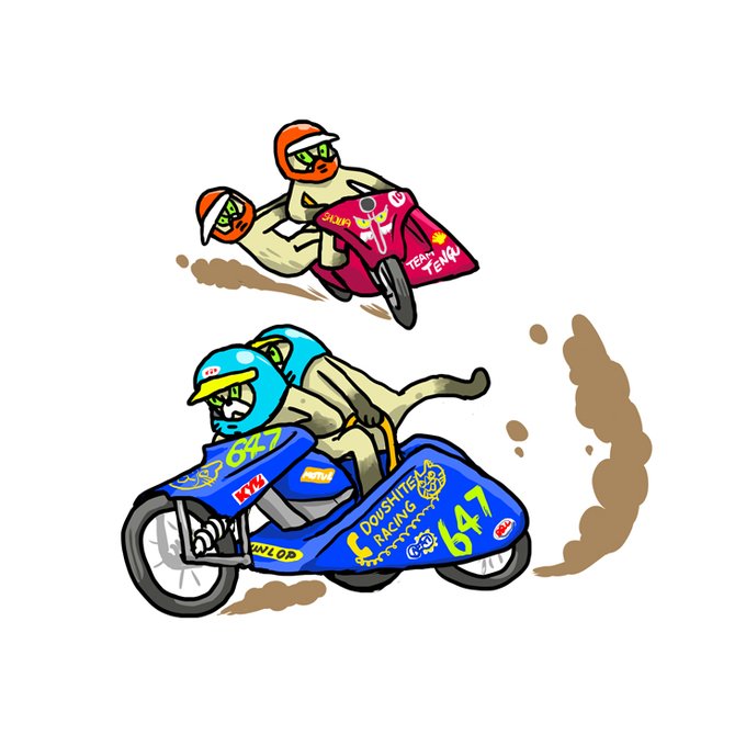ムジーナレース 