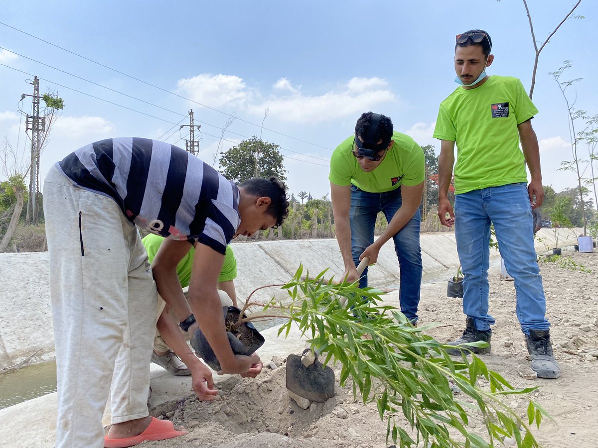 ylefoundation's tweet photo. Launching our new project for world environment day “Nile Tree” for planting 700000 in two years #ylefoundation @Kjulybiao @Kjulybiao @RaghdaaElSaeed @EUinEgypt @FranceenEgypte @UNEP @UNEP_Africa @UNBiodiversity @UNFCCC @UNDPClimate @UNICCairo @UN_News_Centre @GEF_SGP @youm7 https://t.co/BLDWvAkjiX