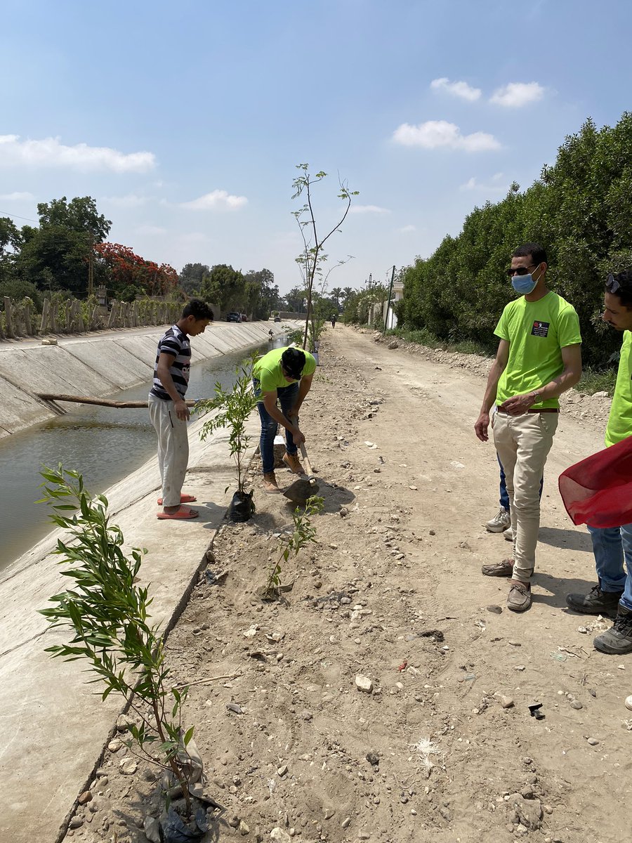ylefoundation's tweet photo. Launching our new project for world environment day “Nile Tree” for planting 700000 in two years #ylefoundation @Kjulybiao @Kjulybiao @RaghdaaElSaeed @EUinEgypt @FranceenEgypte @UNEP @UNEP_Africa @UNBiodiversity @UNFCCC @UNDPClimate @UNICCairo @UN_News_Centre @GEF_SGP @youm7 https://t.co/BLDWvAkjiX
