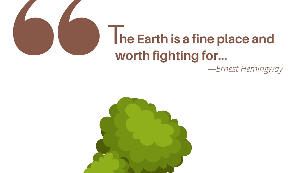 Legalshala1's tweet photo. If not humans then who? 
Plant more and Keep "our" Earth safe!

Happy World Environment Day

#environment #wishes #legalshala https://t.co/mWUxCU1i53