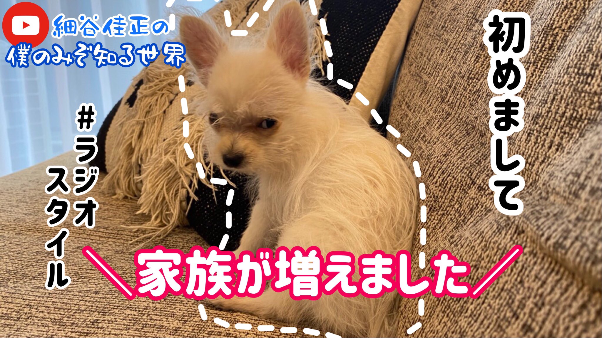 細谷佳正 YOSHIMASA HOSOYA on X:  