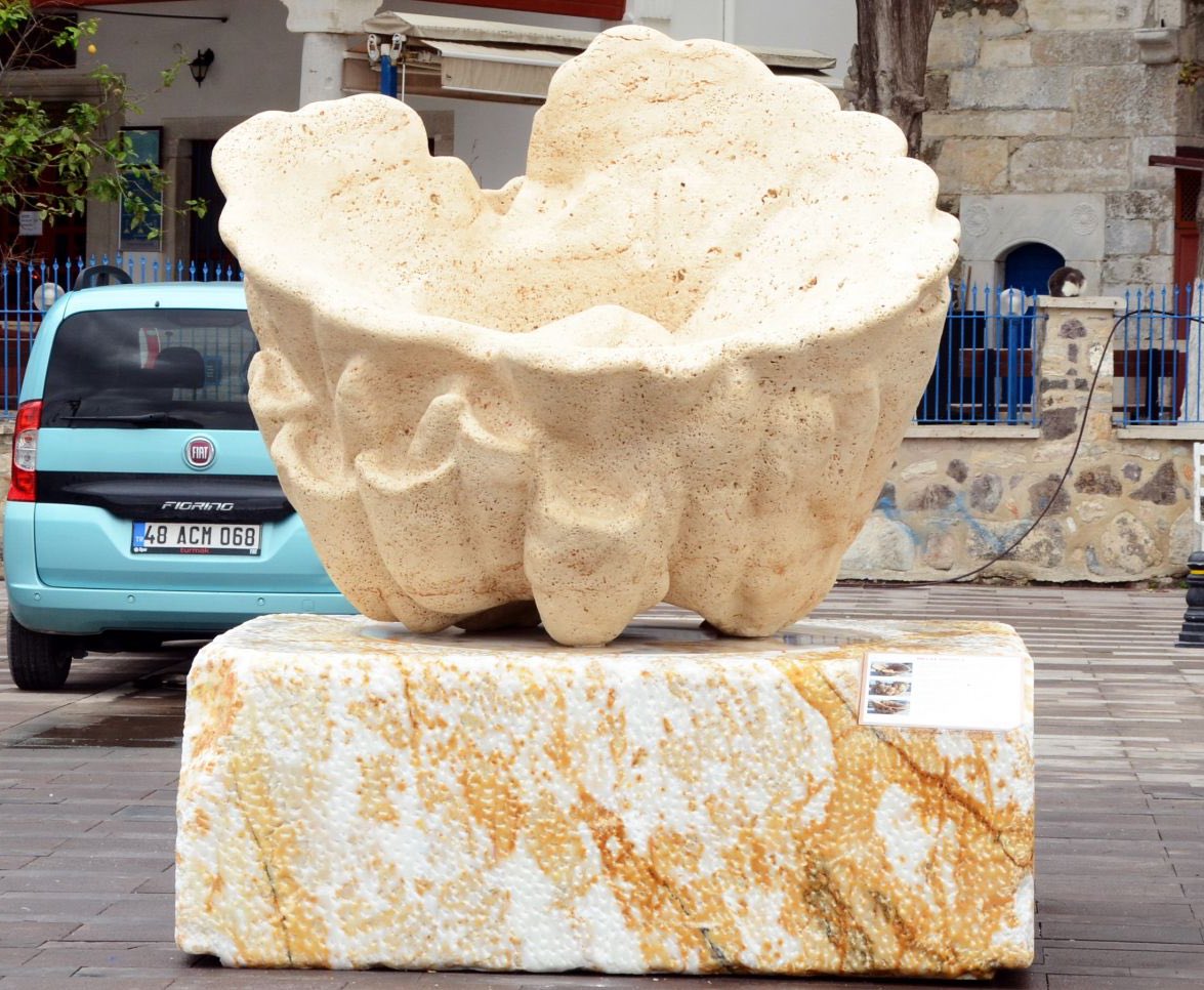 Anlam Veremedim Bunun Ney Olduğunu Anlıyan Bilen Veya Önerisi Olan Varmı??

#MilliHesaplarBurada 
#MilliHesaplarTakipte