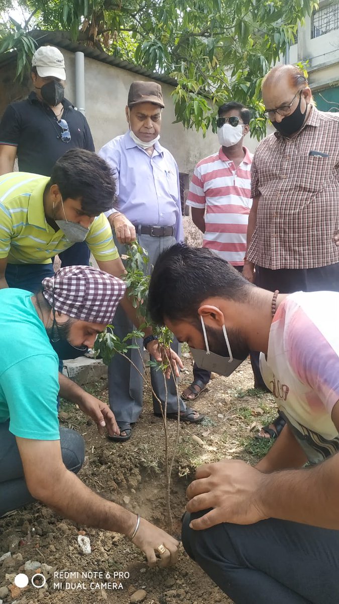 Nagpur Citizens Forum celebrated #WorldEnvironmentDay by sapling plantations from #Covid-19 recovered patients
