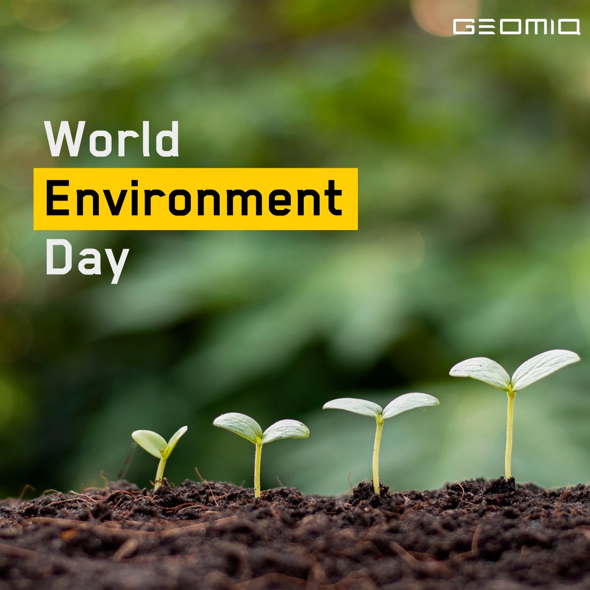 Today, on #WorldEnvironmentDay, we hit a milestone of 1000 trees planted: hubs.la/H0PGM9Q0 benefit will be a future carbon sink, helping our ambitions to become a carbon neutral company. Stay tuned to hear more about our sustainability roadmap!🌱

#GenerationRestoration