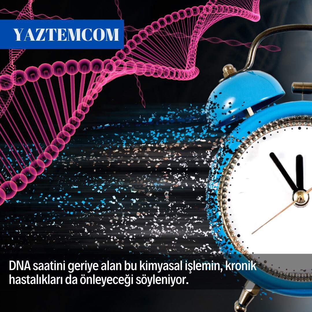 Bilim İnsanları, Yaşlanmayı Tersine Çevirecek Bir Yaşam Programı Geliştirdi!
webtekno.com/yaslanmayi-ter…
