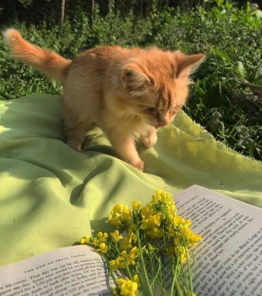 GirlsNoteBook's tweet photo. https://t.co/m9vNdRZJ08