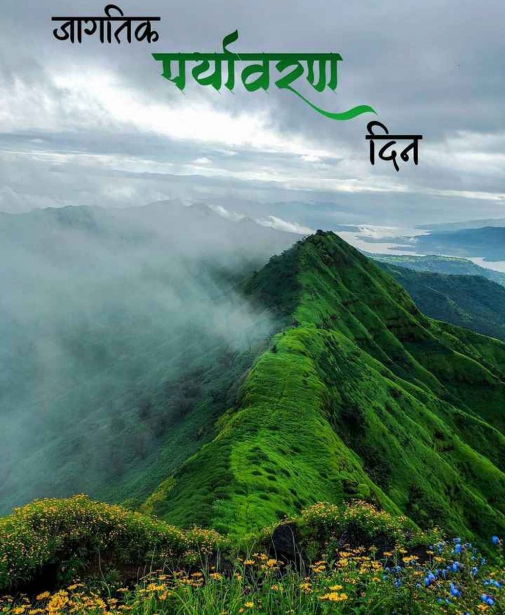 onlyfollowvish's tweet photo. https://t.co/WgQBAYsUJA