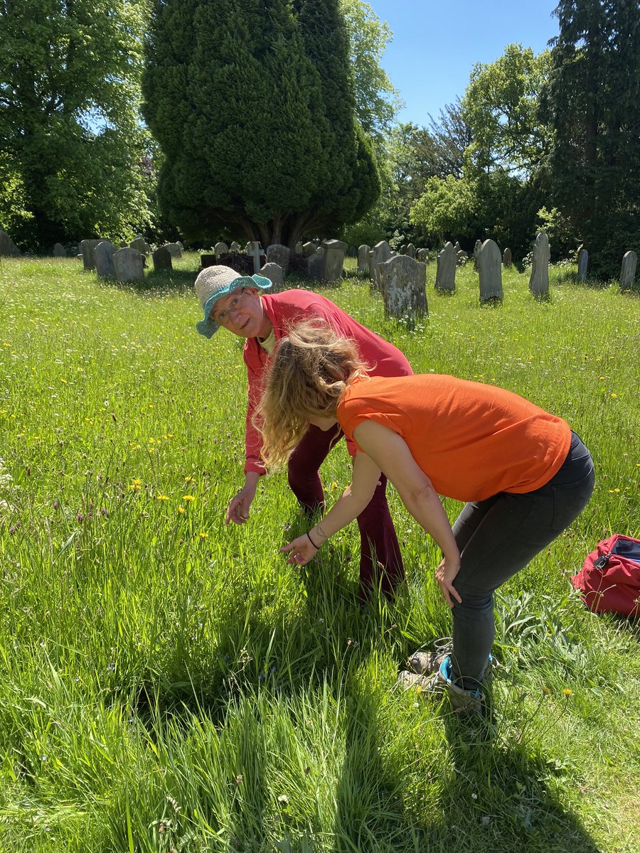 SharowSt's tweet photo. Church count on nature at St John’s Sharow. @LeedsCofE @JoChamberlain2 https://t.co/LnZDYc3Mtj