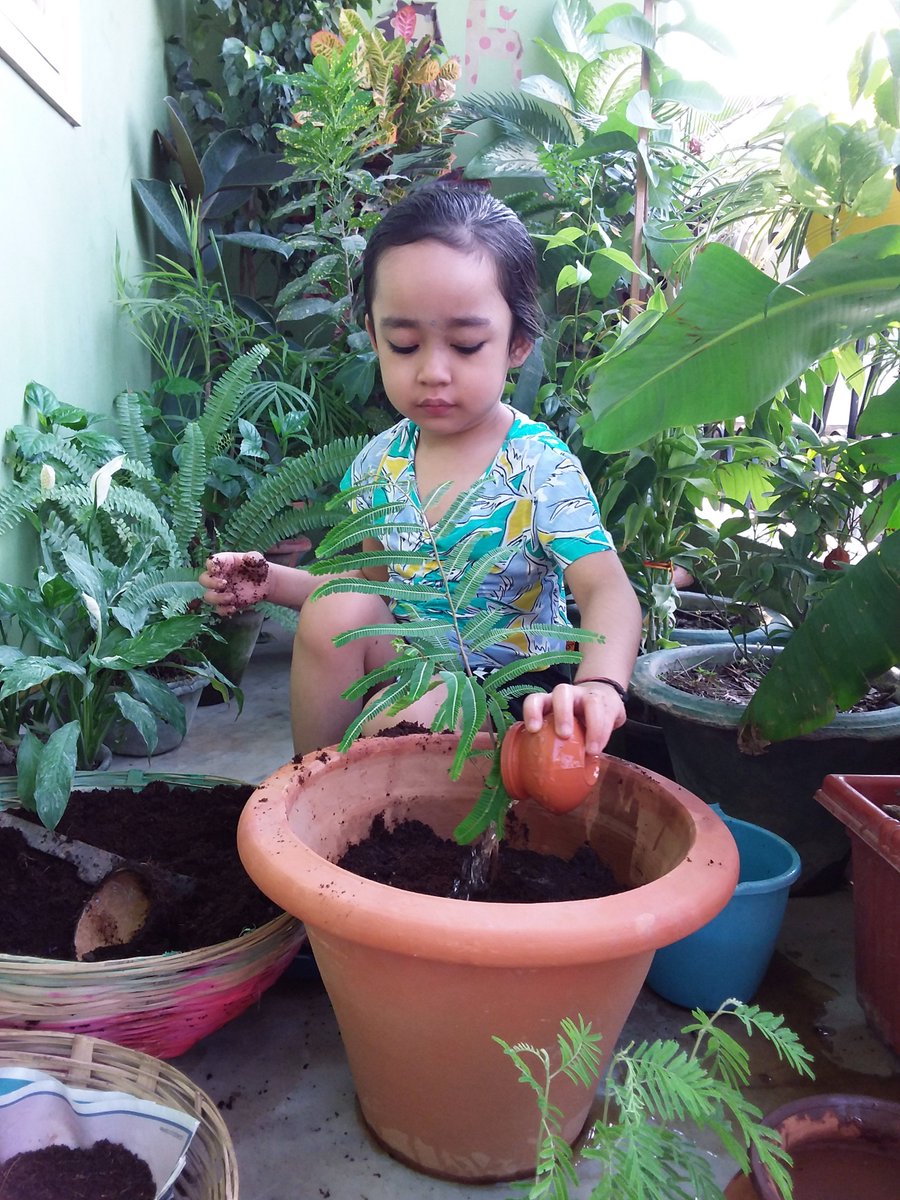 NatureGirlDisha's tweet photo. Disha's been down with fever since 3 June 3 night. We parents were forced before her persistence and she happily induced #IndianGooseberry (आँवला) sapling on #WED2021 today.
#EcosystemRestoration @WangariMaathai @MathaiWanjira @TabiJoda1  @UNEP https://t.co/nWoPQ9V7DY