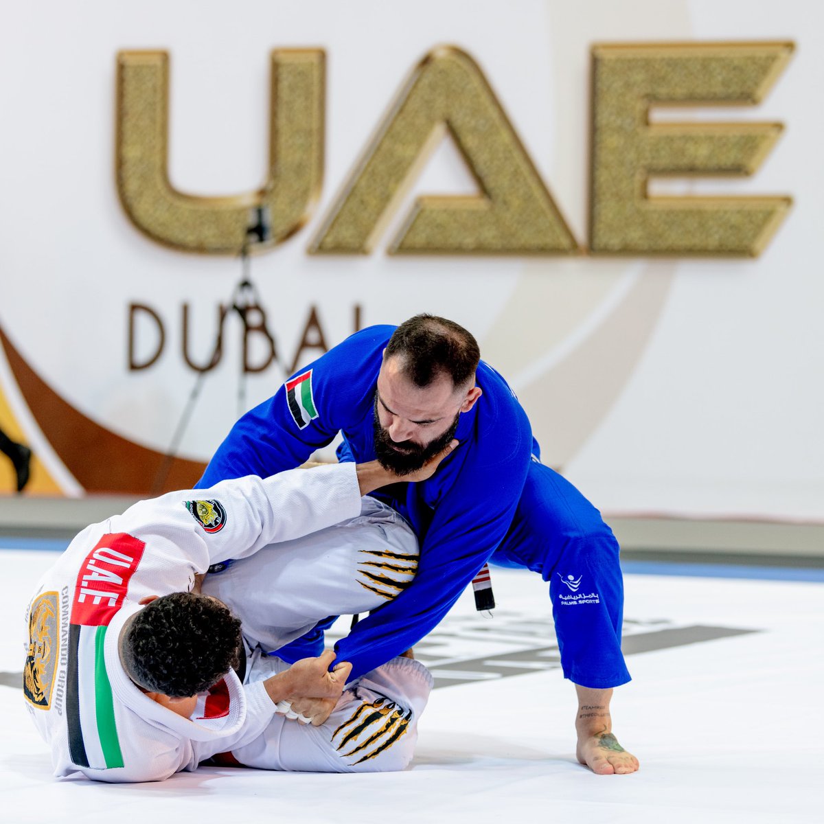 uaejjf's tweet photo. ما رأيكم في النزالات اليوم؟ شاركونا أرائكم 👇
Share your thoughts on today's matches below 👇
#الجوجيتسو #اتحاد_الإمارات_للجوجيتسو
#رابطة_أبوظبي_لمحترفي_الجوجيتسو #الدوري_المحلي
#ajp #ajptour #jiujitsu #nationalpro #ntlpro #dubai https://t.co/tpjjD5dArI