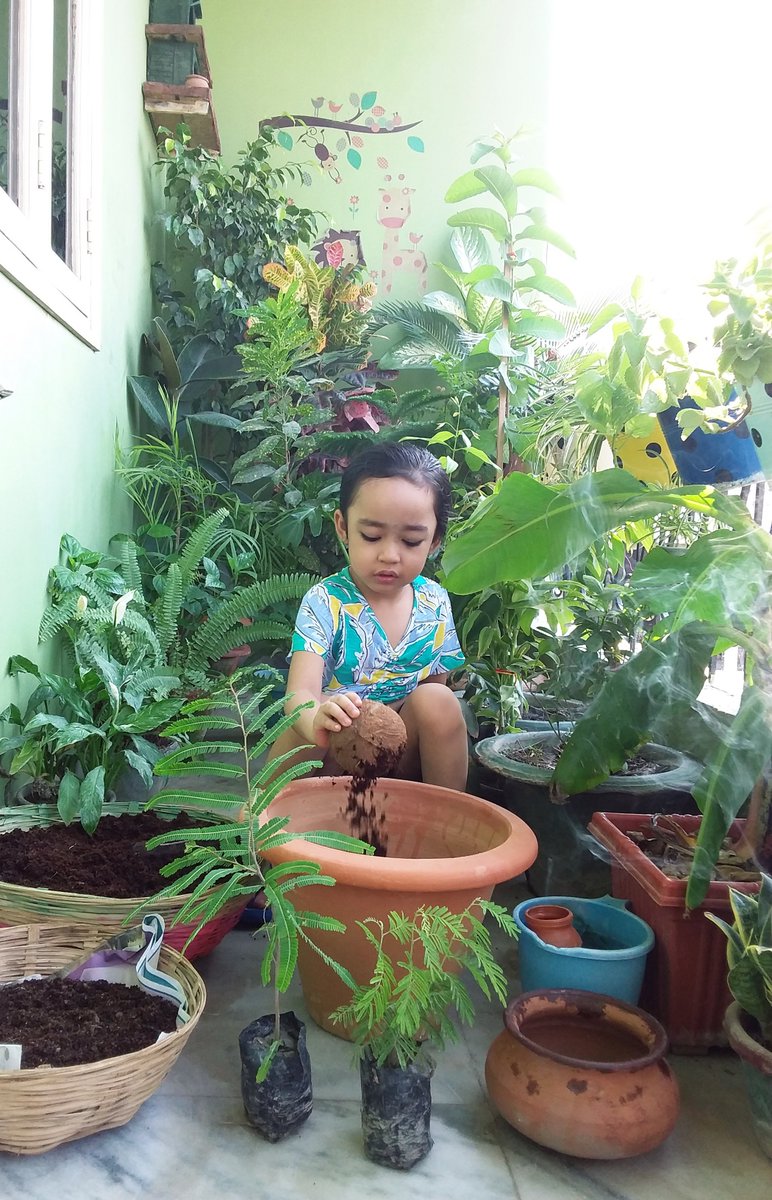 NatureGirlDisha's tweet photo. Disha's been down with fever since 3 June 3 night. We parents were forced before her persistence and she happily induced #IndianGooseberry (आँवला) sapling on #WED2021 today.
#EcosystemRestoration @WangariMaathai @MathaiWanjira @TabiJoda1  @UNEP https://t.co/nWoPQ9V7DY