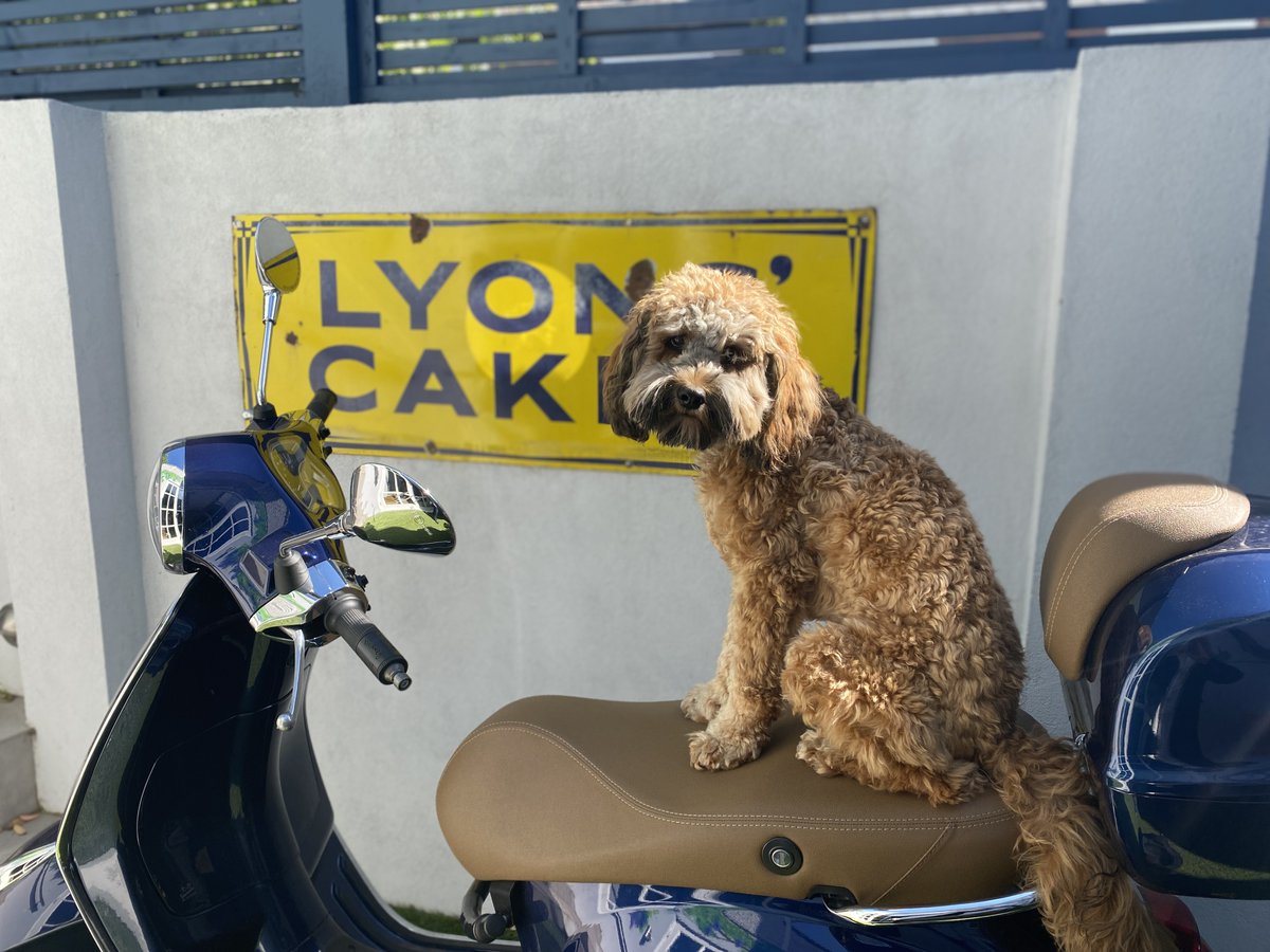 Thackeray Gallery, London tweet media