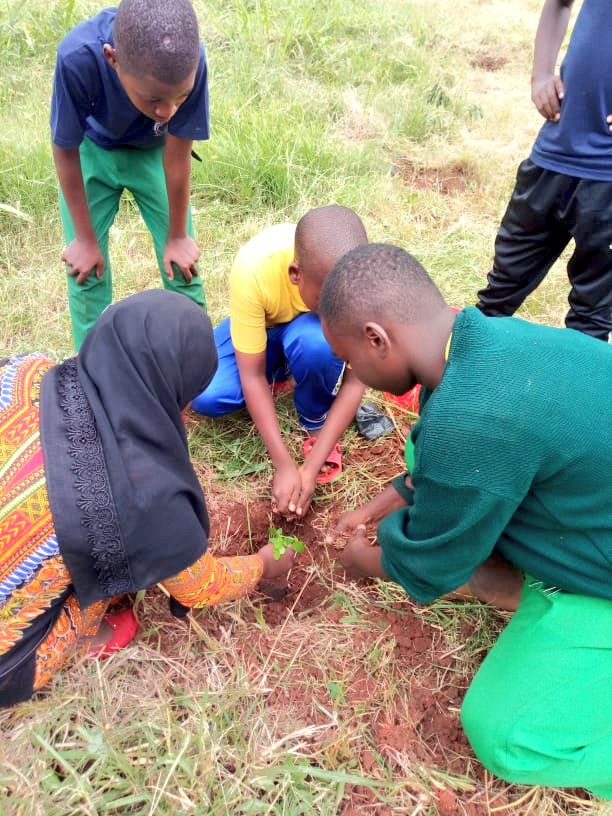 MVIWATA's tweet photo. Katika mitandao ya wakulima maeneo mbalimbali, klabu za MVIWATA mashuleni zinawezesha vijana wanafunzi kujadili na kujifunza mbinu bora na endelevu za uzalishaji kupitia kilimo ikiwemo upandaji miti kwa ajili ya utunzaji wa mazingira. #MVIWATA, #Farmers, #WorldEnvironmentalDay, https://t.co/Nh4KA0RdAg