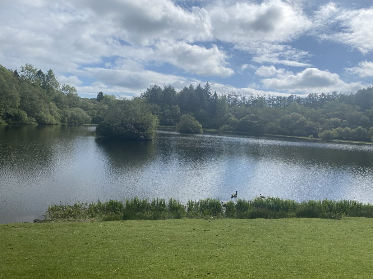 JGHRSolutions's tweet image. Completed our 5 mile walk in support of bowel cancer this morning. It helps to have a friend who is just as bonkers with the same lack of direction #bowelcancerUK #laughterisgood #Lampeter 🙈😂