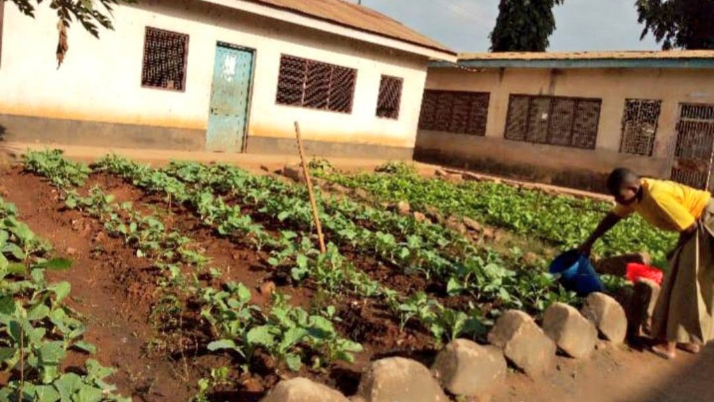 MVIWATA's tweet photo. Katika mitandao ya wakulima maeneo mbalimbali, klabu za MVIWATA mashuleni zinawezesha vijana wanafunzi kujadili na kujifunza mbinu bora na endelevu za uzalishaji kupitia kilimo ikiwemo upandaji miti kwa ajili ya utunzaji wa mazingira. #MVIWATA, #Farmers, #WorldEnvironmentalDay, https://t.co/Nh4KA0RdAg