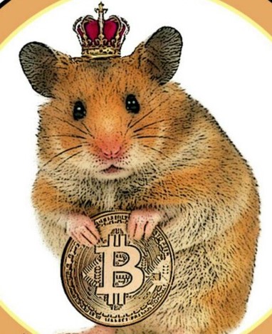 Hamster Token 🐹 tweet media