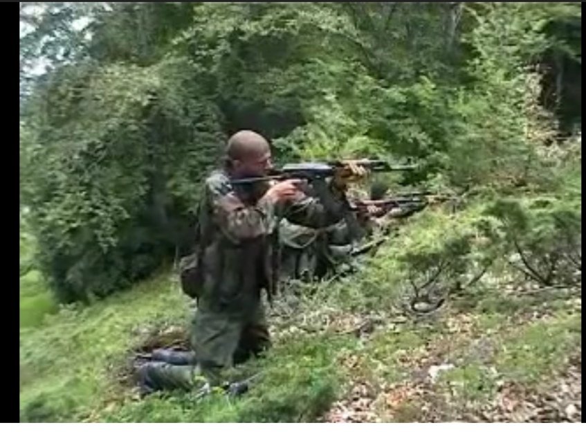 Секогаш сакале зеленила!!!!