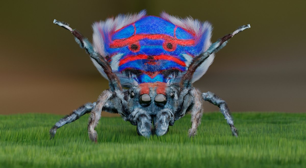 3d render jumping spider peacock
#NFTs #NFTCommunity #nftart #NFTARTFinance #cryptoartist #cryptoart #zbrush #keyshot #opensea #OpenSeaNFT @opensea @rariblecom @withFND  #3D #3DAnimation #3DCG #insect #insects #NFTartist #nonfungible https://t.co/Qc3f3H60yF