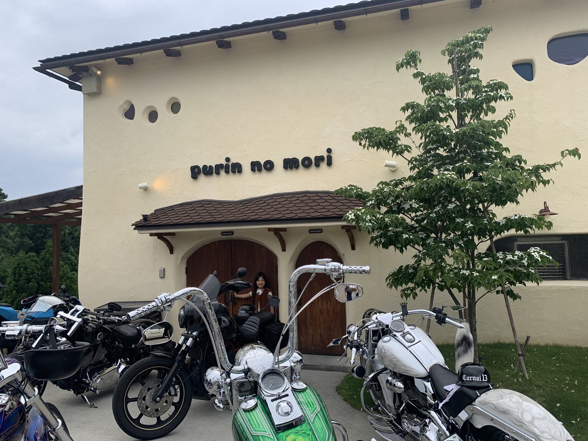 yuki_Qomolangma's tweet image. We went to nara to buy pudding🍮
yummy😋

Is where my daughter??Lol🤣