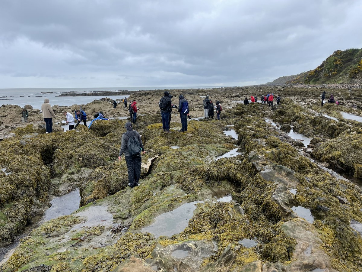 James Rimmer tweet media