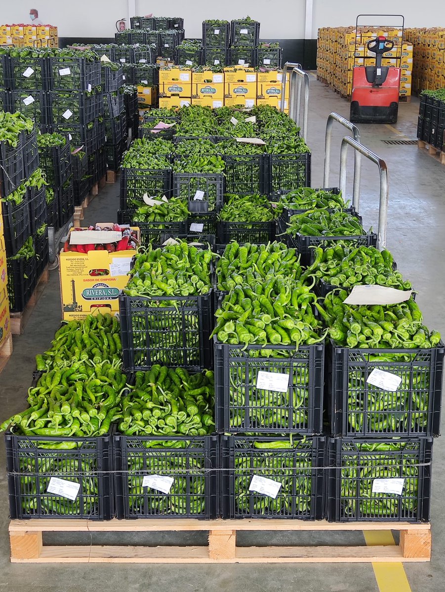 Turismo de Chipiona tweet media