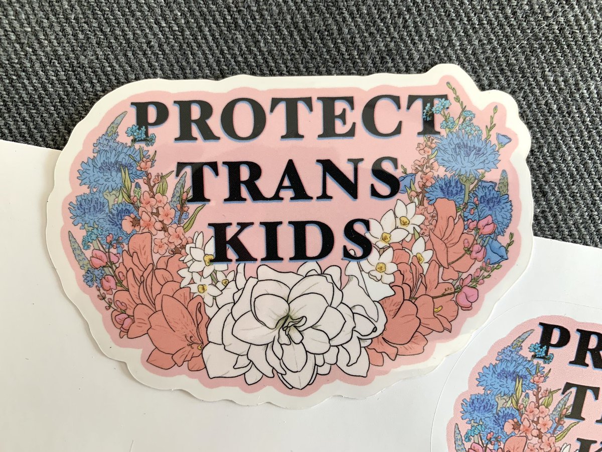 EveningBotany's tweet photo. Just got my 1st RedBubble stickers &amp; was really unhappy with the quality on this one - turns out I uploaded the low-res version of this file 😬

If you bought a Protect Trans Kids sticker through my shop, please DM me and I can mail you a better version (see pic 2) for free! https://t.co/easCalfVsF