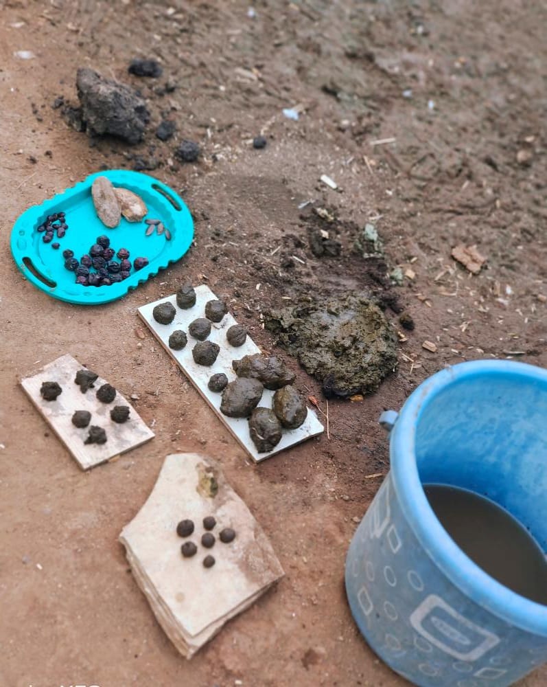 MahaAgrivision's tweet photo. Today, Vimal Chaure, An Activist Of @MahaAgrivision Sown Seeds By Treating Them Organically With Cow Dung. 

#WorldEnvironmentDay https://t.co/Z70IaFCupC
