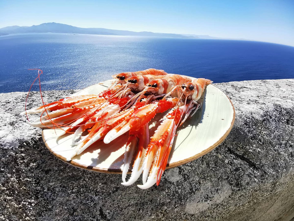 😊¡Empezando el #sabado de la mejor manera!

Hoy fuera de #carta tenemos:

🦞Unas #cigalas al #horno con #sal y #pimienta.

🐟 Un #salmón marinado perfecto para esta temporada.

🐟 Un coruxo al horno espectacular para terminar.

 #hotelconencanto #faro #restaurante #comida #food