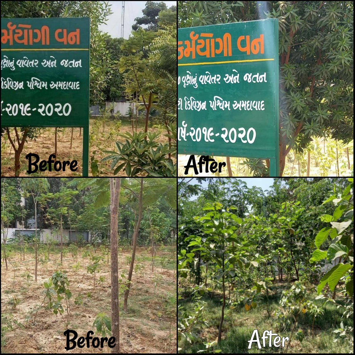 Best day to post this. A dream of a 'Karmayogi Van' has been seen by a man of vision Shri <a href="/SDMCityWest/">SDM City(West) Ahmedabad</a>, Ahmedabad. Sir and his team have put lots of efforts to make it Green and protect this Karmayogi Van. 
🌱🌳
#EnvironmentDay #SaveEarth #TreePlantation