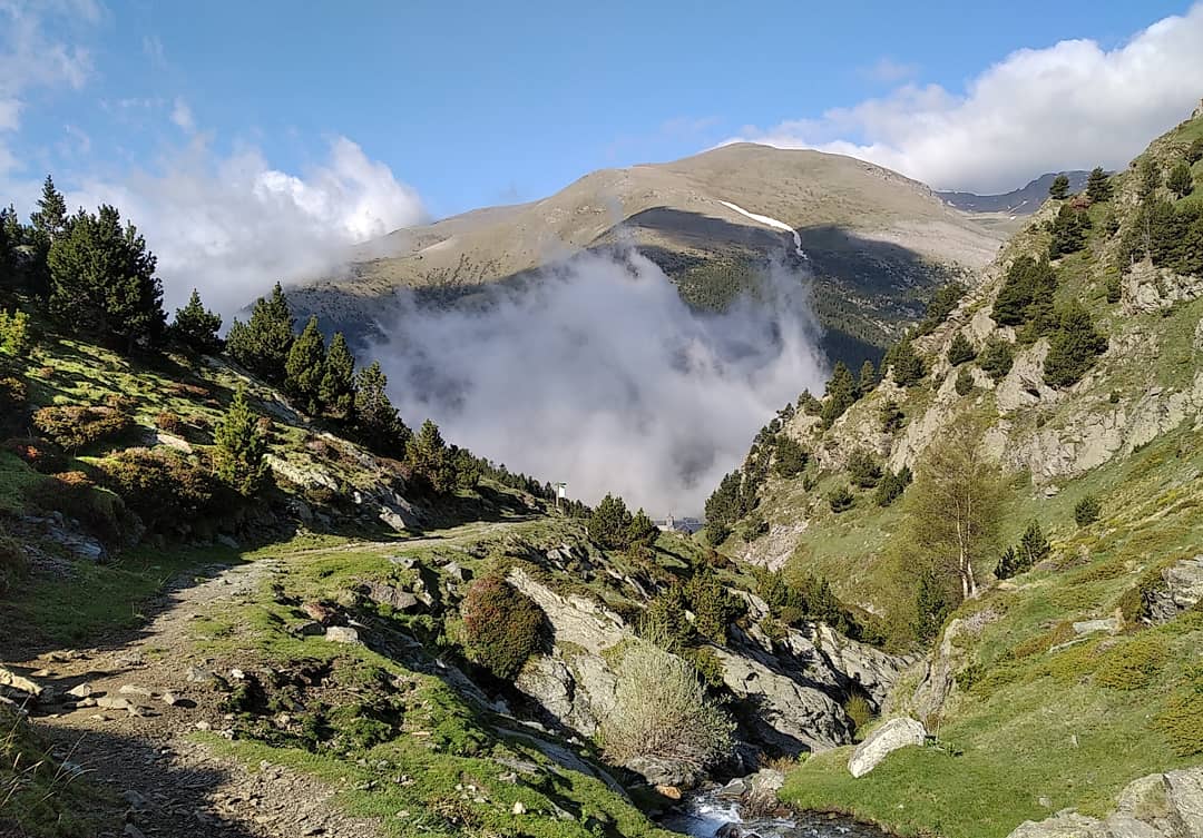 elsbastions's tweet photo. Així ens han acollit avui Els Bastions de la Vall de Ribes. Un espectacle 🤩
#elsbastions #skyraces #elsetge #elasedio #thesiege #vallderibes #valldenuria #UltresFEEC #PeaksUltraSeriesbyGrifone https://t.co/vaH5burqPt