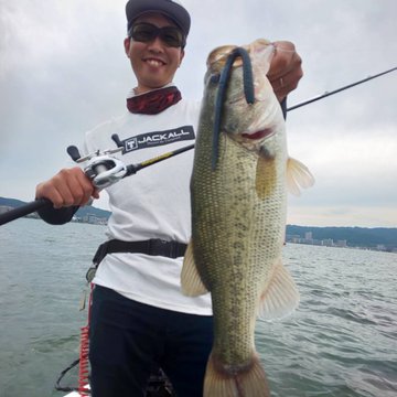 ジャッカルのフリックシェイク9 8インチのインプレ情報 野池で使ってみたい ワーム部