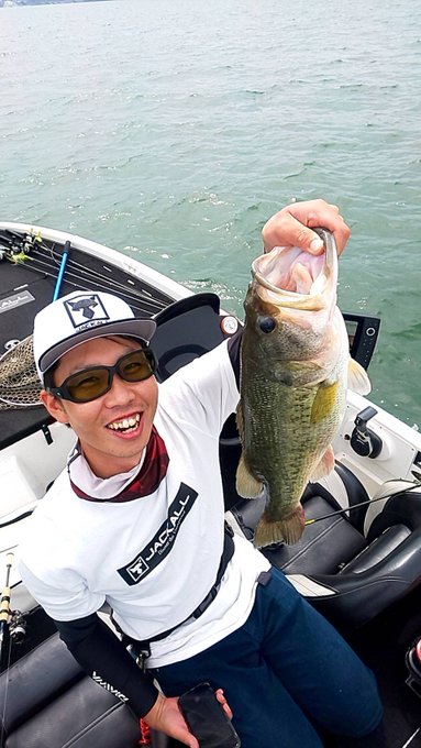 ジャッカルのフリックシェイク9 8インチのインプレ情報 野池で使ってみたい ワーム部