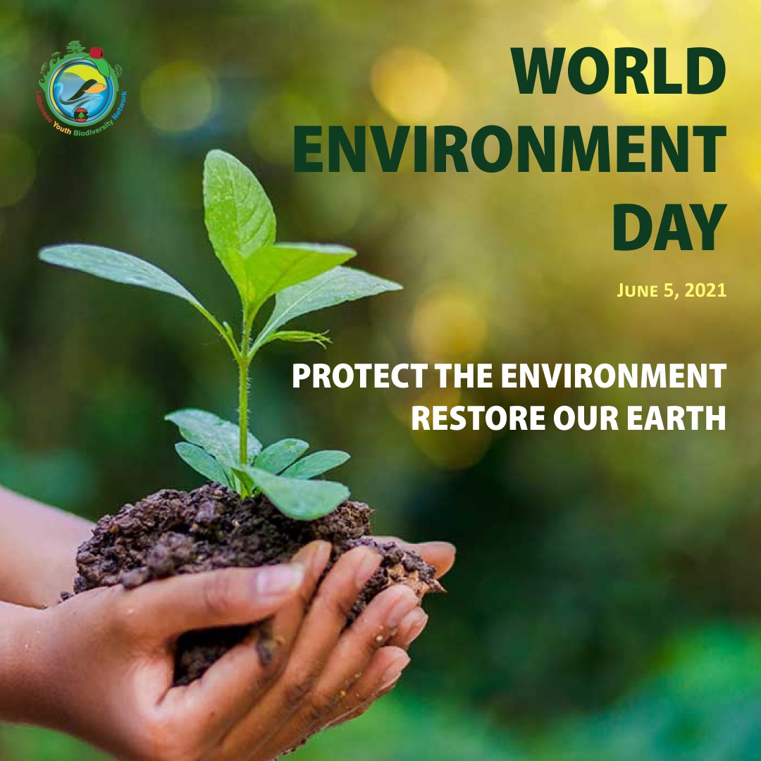 Happy #WorldEnvironmentDay !  2021’s theme is “Ecosystem Restoration” It can take many forms: growing trees, greening cities, rewilding gardens, changing diets or cleaning up rivers and coasts. This is the generation that can make peace with nature.  #GenerationRestoration