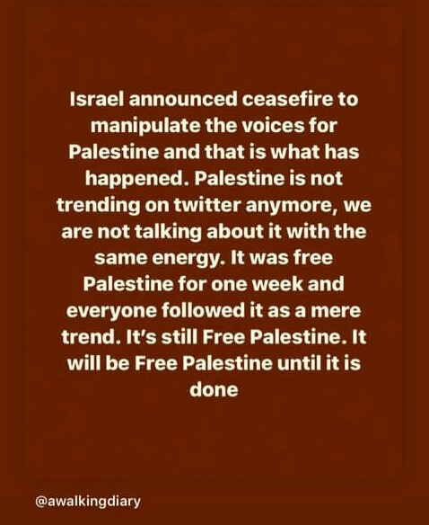 Someone2692's tweet photo. #FreePalestine #FreeGaza #IsraelTerroristState https://t.co/lF9xYuzWQ0