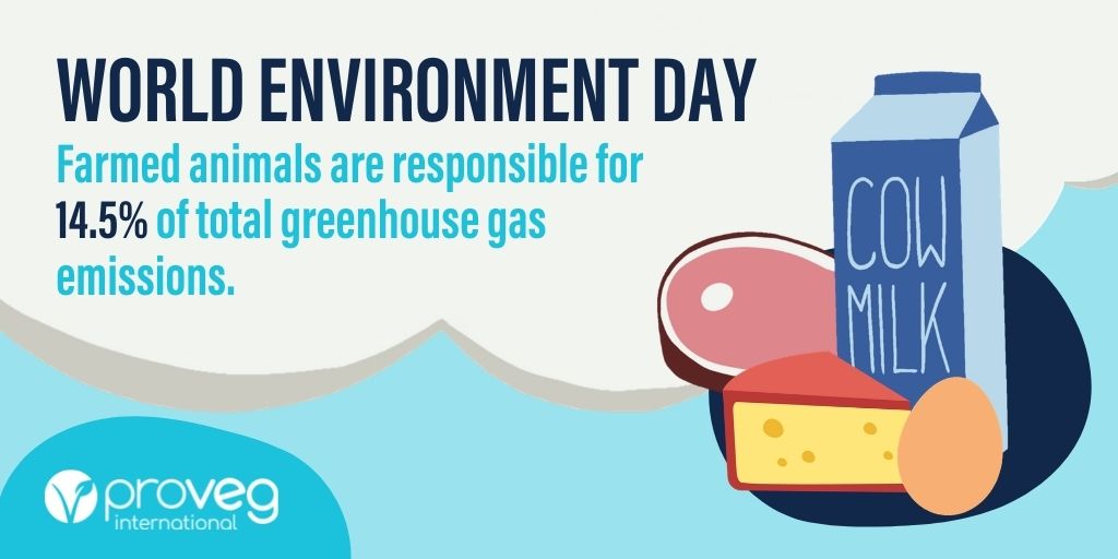 ProVeg_UK's tweet image. Happy #worldenvironmentday! 🌍

Moving towards a plant-based diet is one of the biggest actions we can take to save our planet 🥦🍎🥕

Programmes like #SchoolPlates, are helping to build a more sustainable future🌱

This is why we are #ProEnvironment ⬇️

ow.ly/UPRP50F2NR3