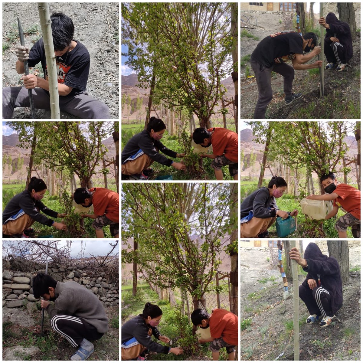 airnewskargil's tweet photo. #WorldEnvironmentDay2021 Celebrated in #KargilLadakh with #PlantationDrive
Fragile Areas like Kargil Should Increase its #TreeBank: Rafeeq Ahmed Chak
Organized by District Legal Service Authority in Collaboration with Forest Department Kargil
@ladakh_wildlife @prasarbharti https://t.co/w3jWjFCfk1