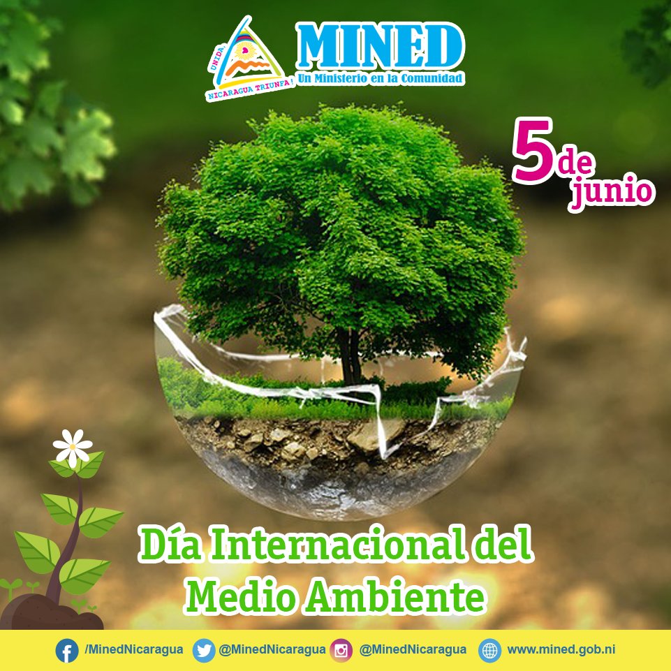 5 de junio | Día Internacional del Medio Ambiente

Cuidar al medio ambiente, es una decisión que debemos tomar todos los días.

#DiaMundialDelMedioAmbiente
#Nicaragua