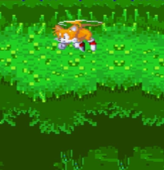 quase todo dia um Tails tweet media