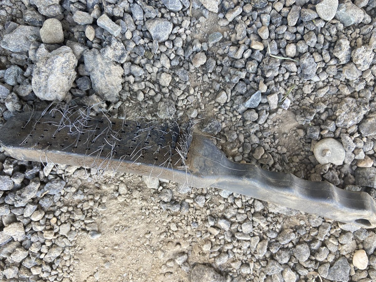 Schoolboydad tweet media