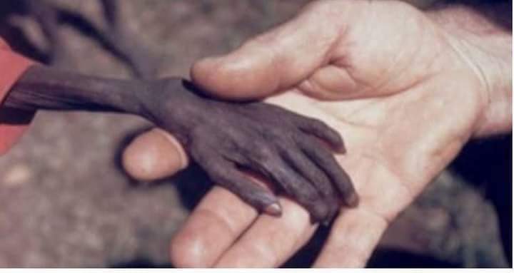 “İnsanın gâvuru, Müslümanı olmuyor arkadaş. 
İnsanın insanı, insan oluyor!”

-Orhan Kemal