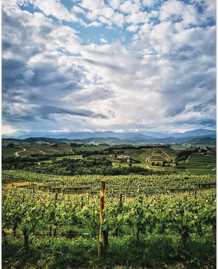 Buon sabato #Instagramers!
Festeggiamo la #GiornataMondialedellAmbiente con questo panorama sul #Collio fotografato da @silvvlis

#igersgo #igersfvg #friuliveneziagiulia 

instagram.com/p/CPvOpOFFPfX/