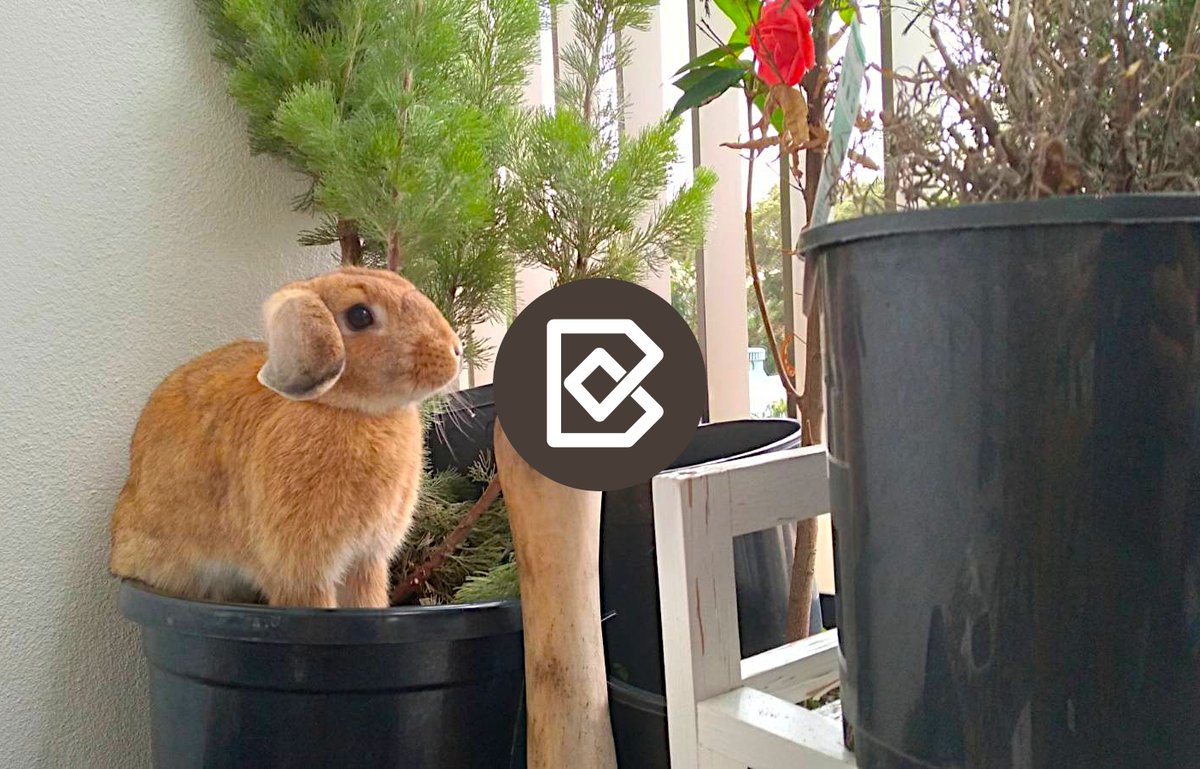 Bonsai (previously BlenderBIM Add-on) tweet media