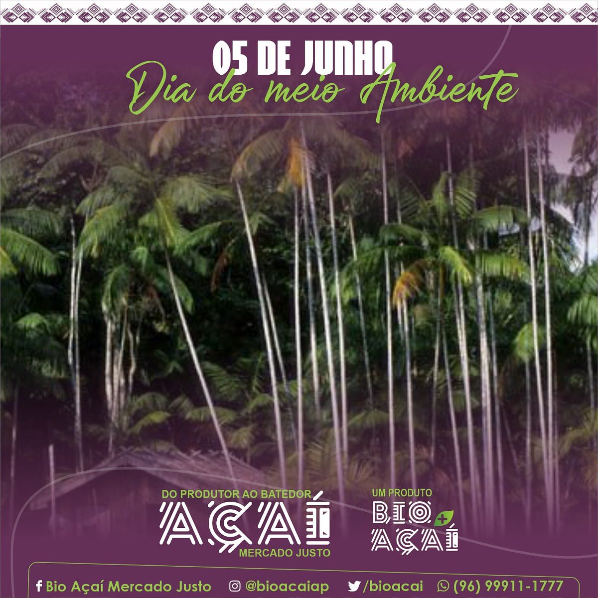 bioacai's tweet photo. Comemorado no dia 5 de junho e instituído pela ONU, data tem como principal objetivo chamar a atenção de toda a população para os problemas ambientais e para a importância da preservação dos recursos naturais. inesgotáveis.#meioambiente #DiaMundialDoMeioAmbiente https://t.co/MirknVN6j9