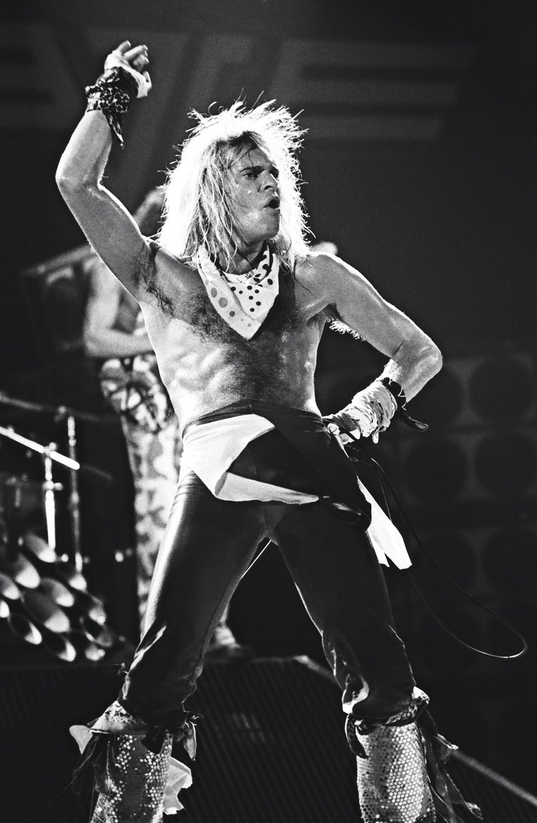 Van Halen Army tweet media