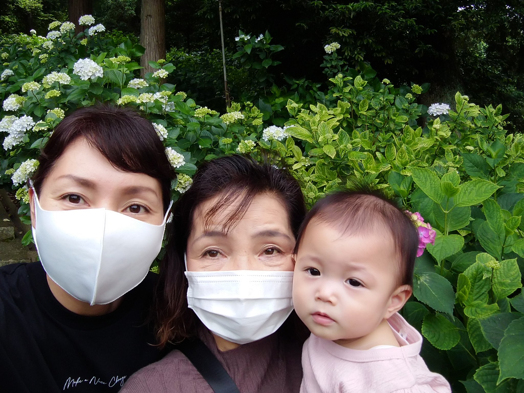 Aya 吉備津神社へあじさいを見に行ったけど まだまだだったなー 残念 T Co Qfqvswcz4e Twitter